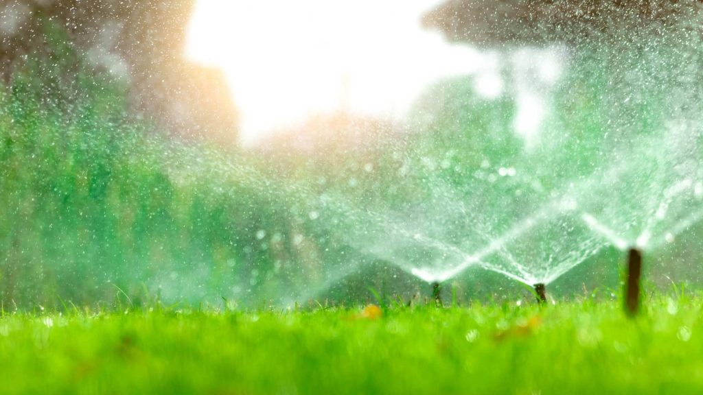 Late Summer Landscaping Tips to Keep Your Yard Thriving