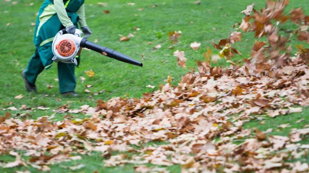 Top 5 Fall Landscaping Projects to Prepare Your Yard for Winter 
