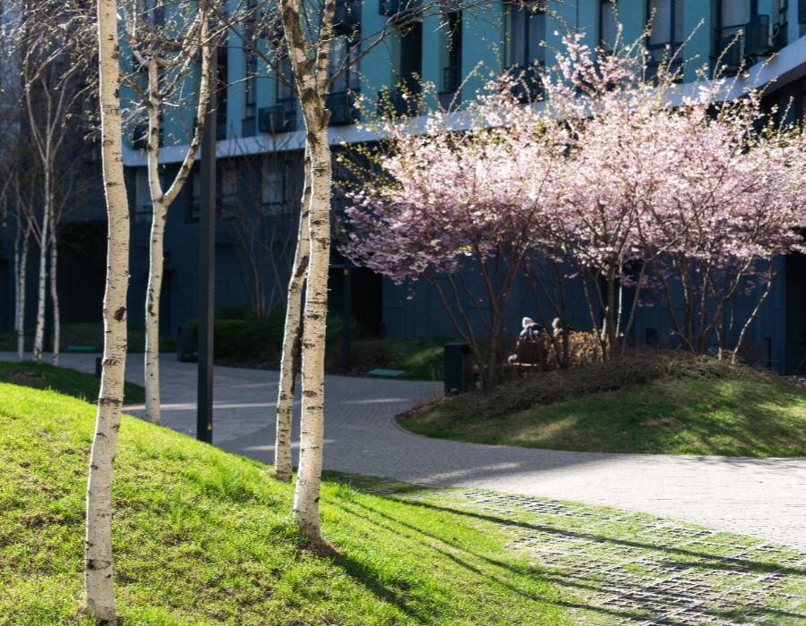 commercial landscapers near me-002