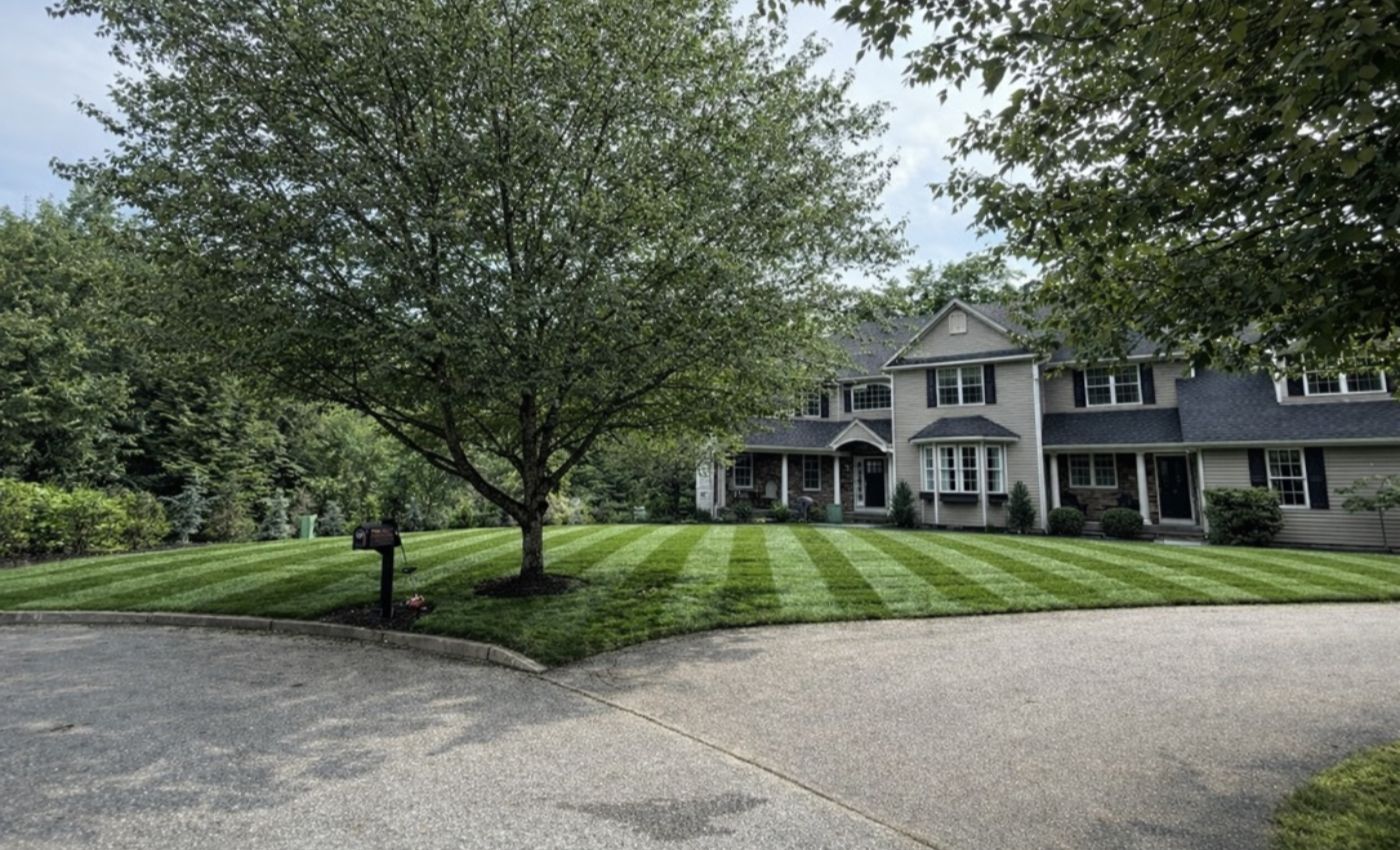 weekly maintenance-146