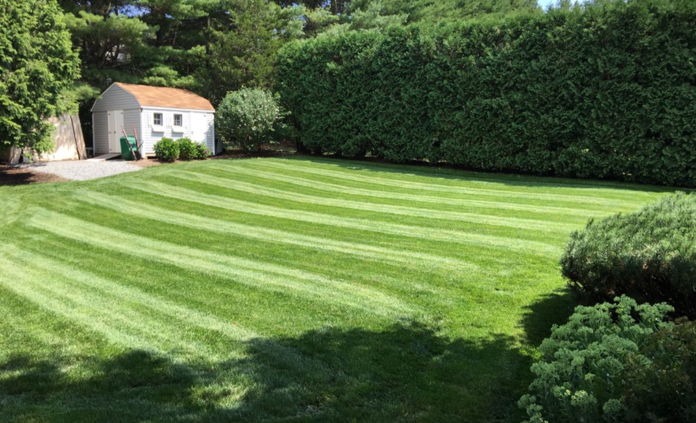 weekly maintenance-147