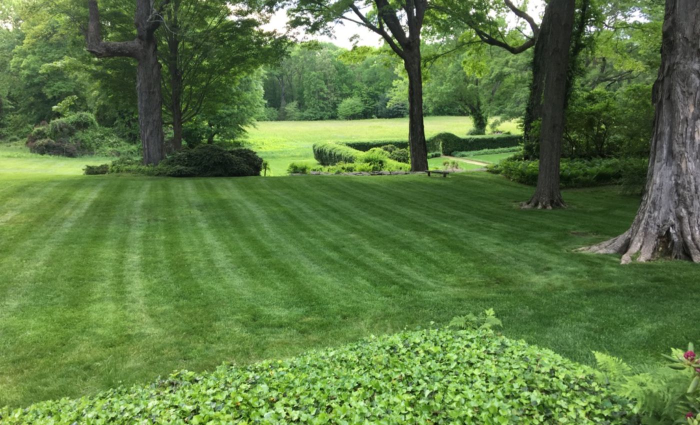 weekly maintenance-148